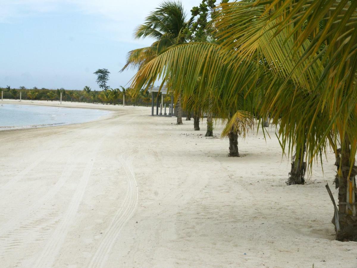 Jamnick Vacation Rentals - Richmond, St Ann, Jamaica Ocho Rios Exteriör bild